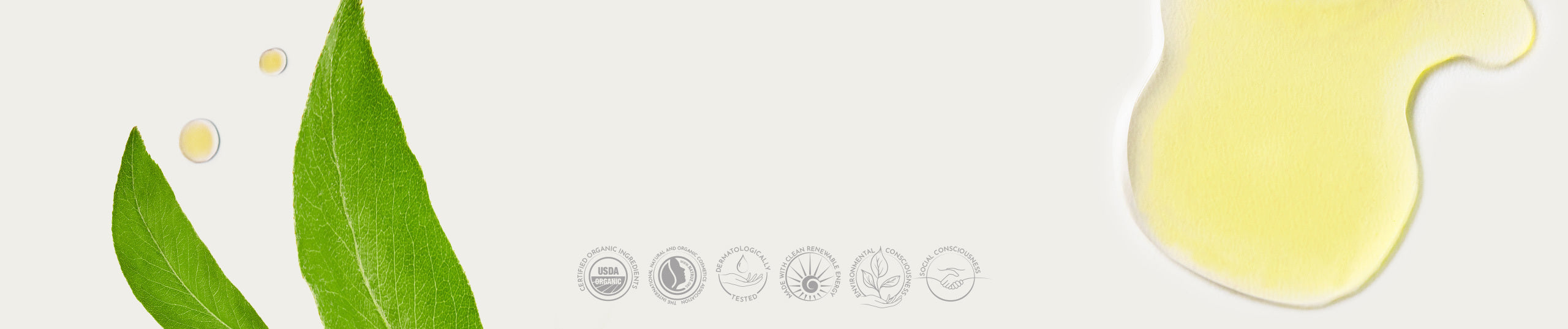 ätherische öle und pflanzenöle alteya organics