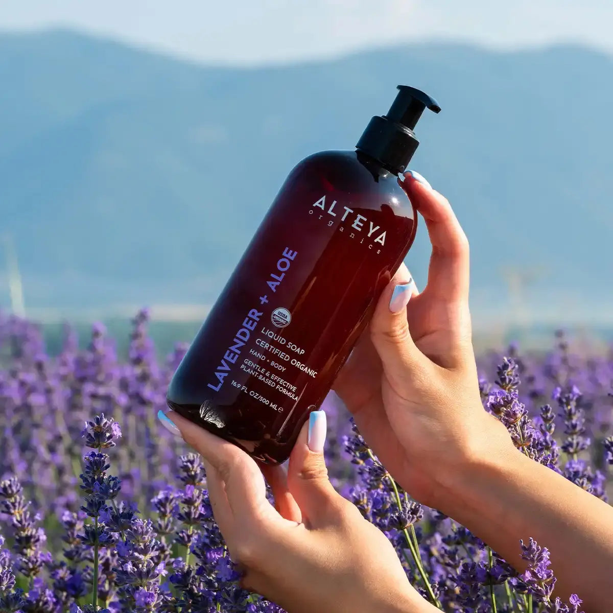 Bio Flüssigseife Lavendel und Aloe