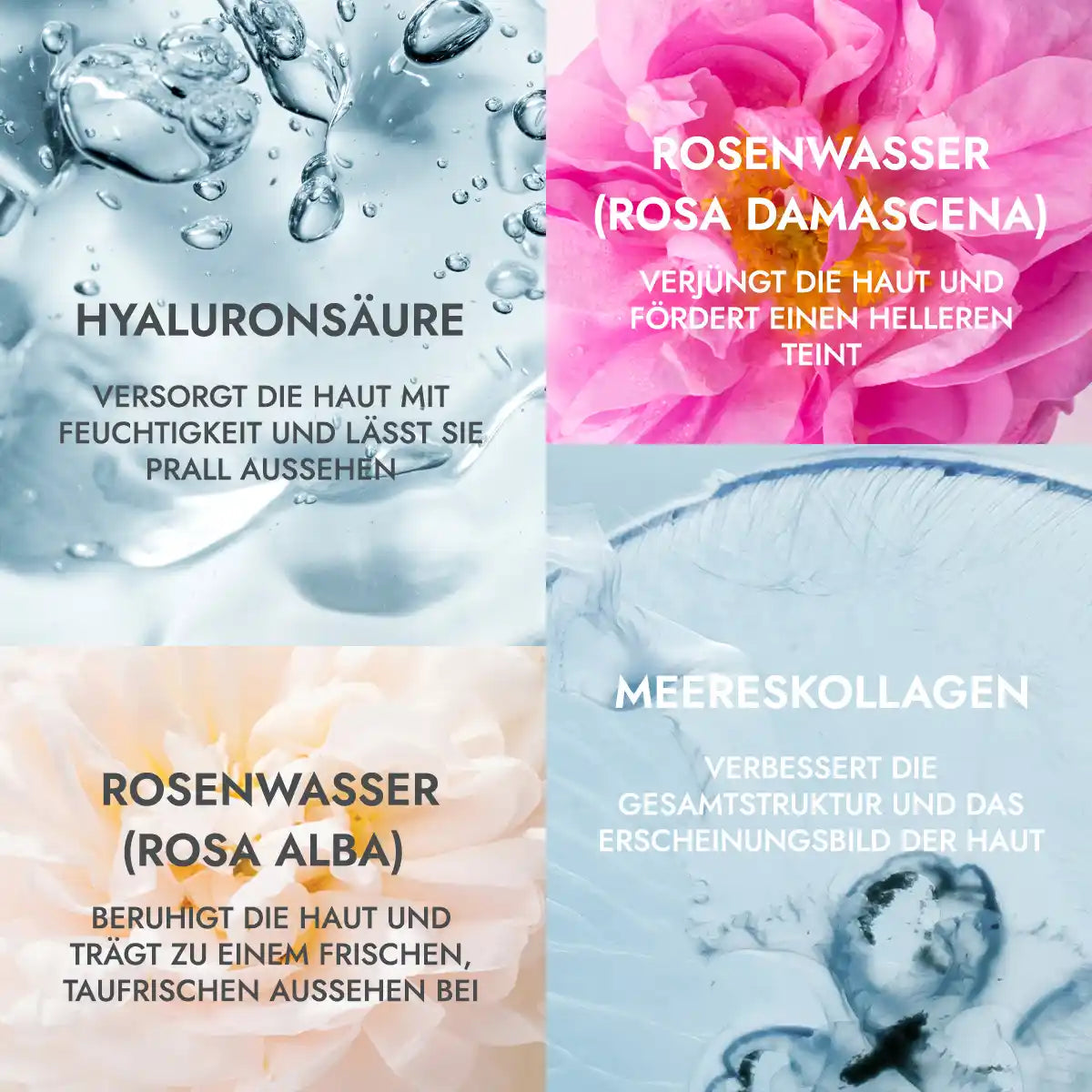 Inhaltsstoffe bio rose glow elastizität kollagen gesichtsspray