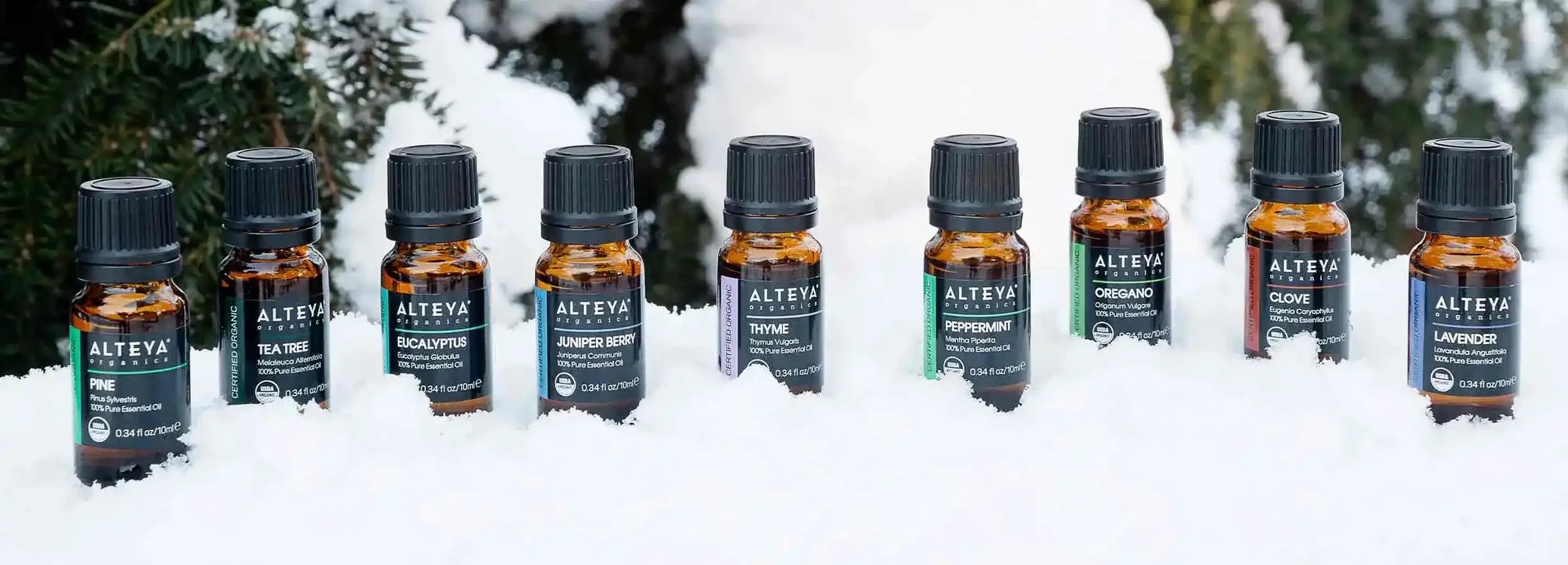 Top 10 ätherische Öle für die Aromatherapie mit dem Diffusor