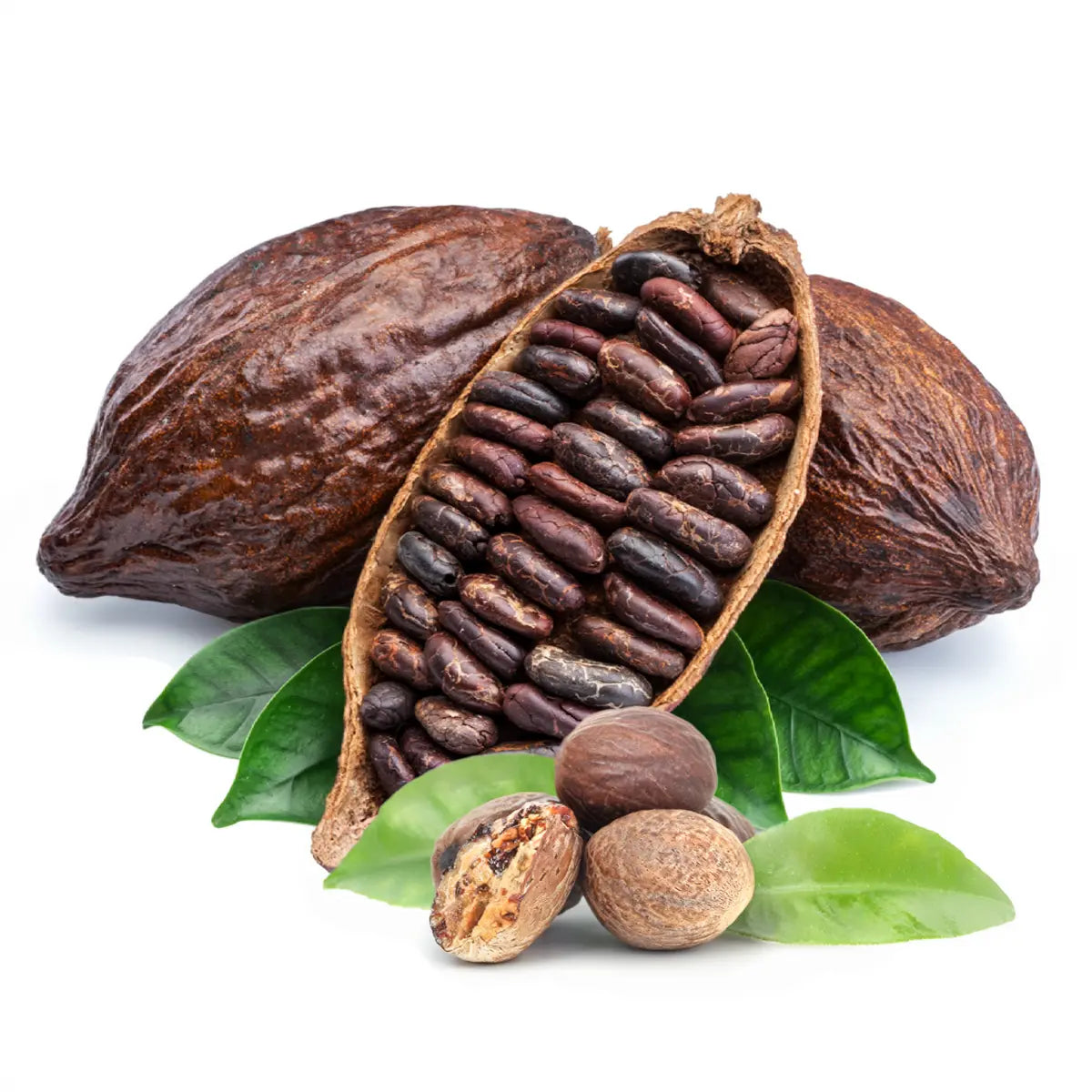 bio kakao- und sheabutter