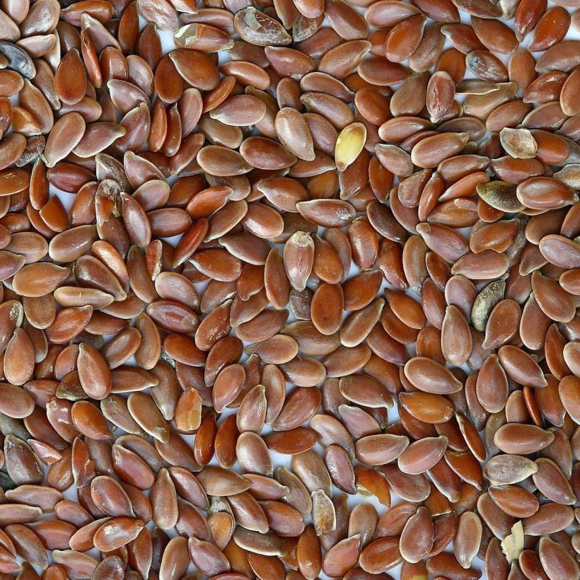 bio leinsamenöl