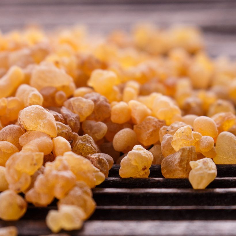 bio weihrauchöl boswellia serrata