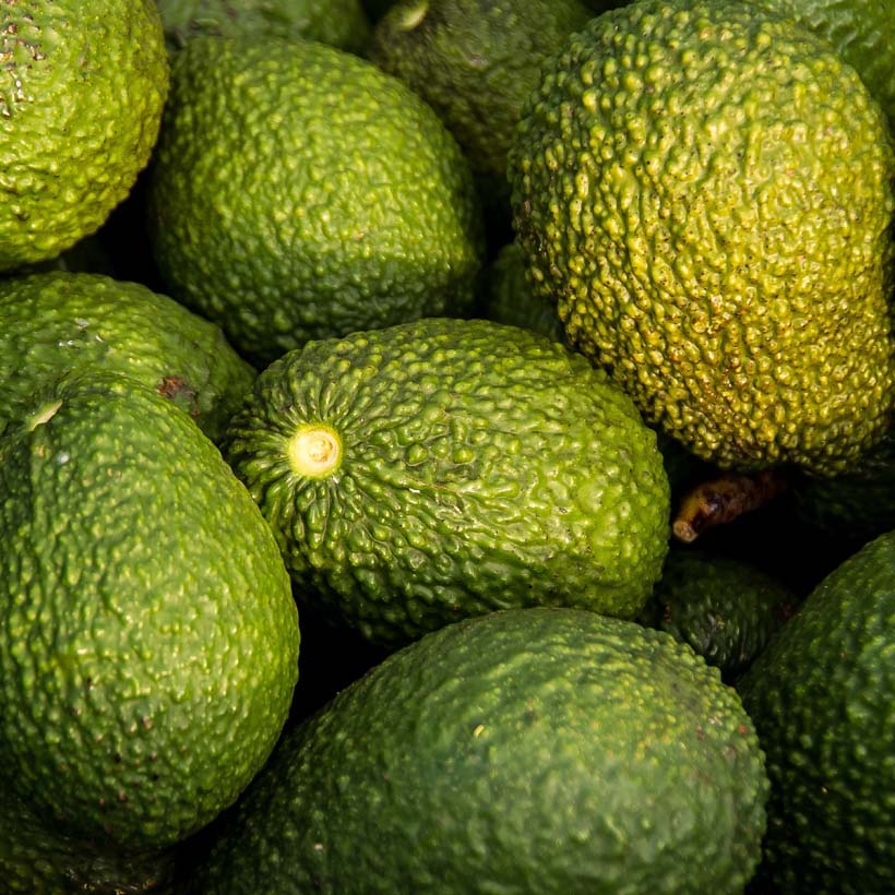 bio avocadoöl