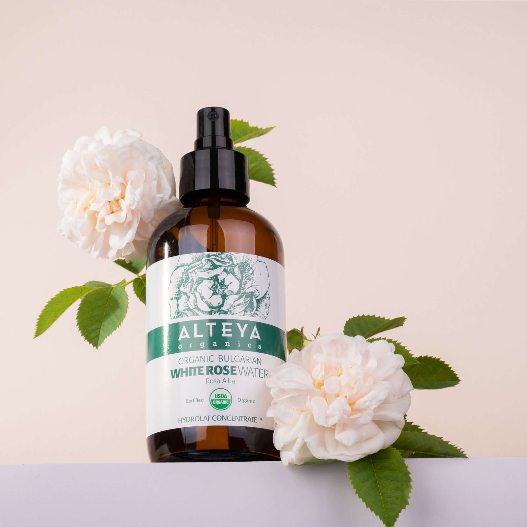 bio rosenblütenwasser aus bulgarischen weissen rosen (rosa alba)