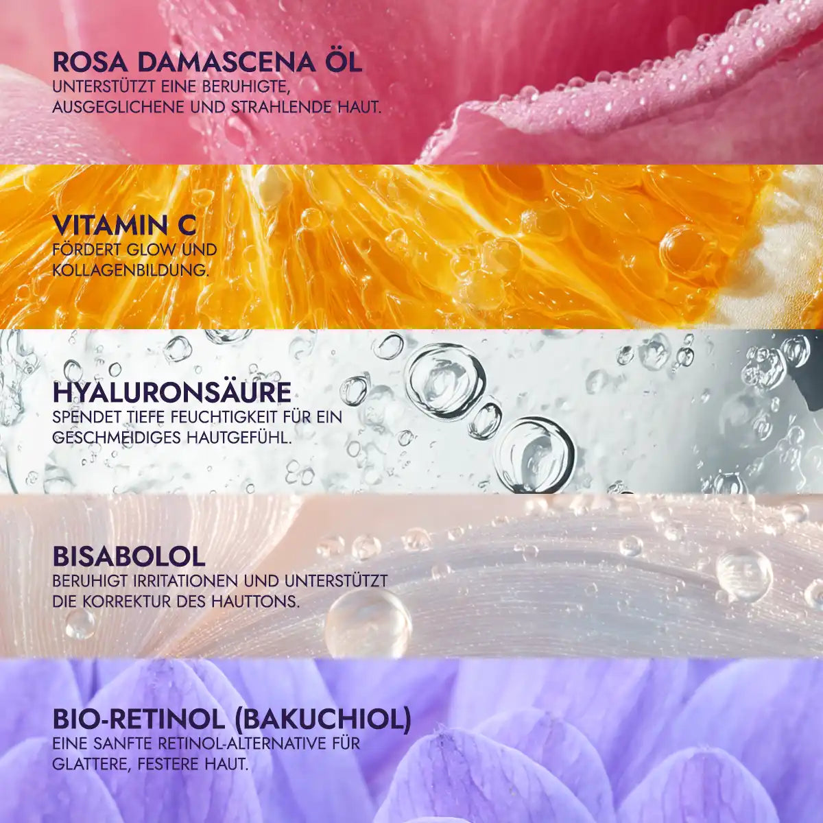 Inhaltsstoffe bio gesichtscreme mit rosenöl, bakuchiol & vitamin c luminous rose